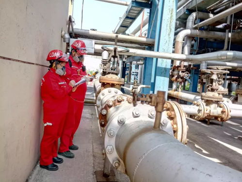 研發(fā)ldar數(shù)據(jù)采集軟件，助力天然氣處理廠高端市場開發(fā)